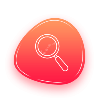 Design & Development